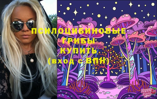 прущие крисы Гусев