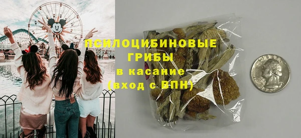 эйфоретик Гатчина