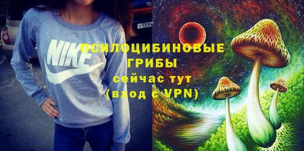 прущие крисы Гусев
