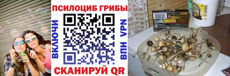 Галлюциногенные грибы ЛСД  купить наркоту  мега зеркало  Дубна 