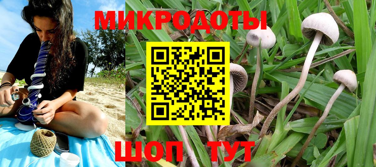 Галлюциногенные грибы MAGIC MUSHROOMS Дубна