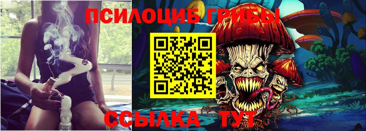 Псилоцибиновые грибы GOLDEN TEACHER  Вход с VPN  Дубна 